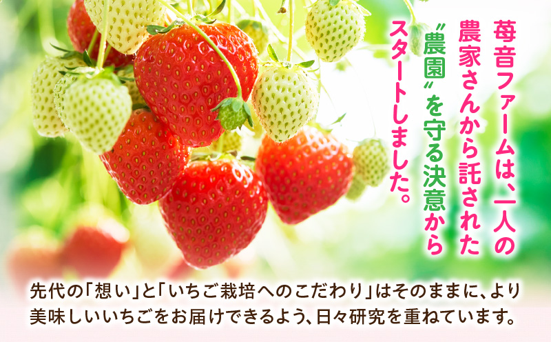 【2026年発送分 先行受付】苺音エコノミー　〜さぬきひめいちご約1,280g〜3回定期便 | おすすめ 人気 果実 果肉 果物 フルーツ デザート 贈り物 苺 さぬきひめ 贈答 ご褒美 ギフト 旬の果物 季節の果物 旬 季節 青果物 香川県 三木町 |_mk137-t001