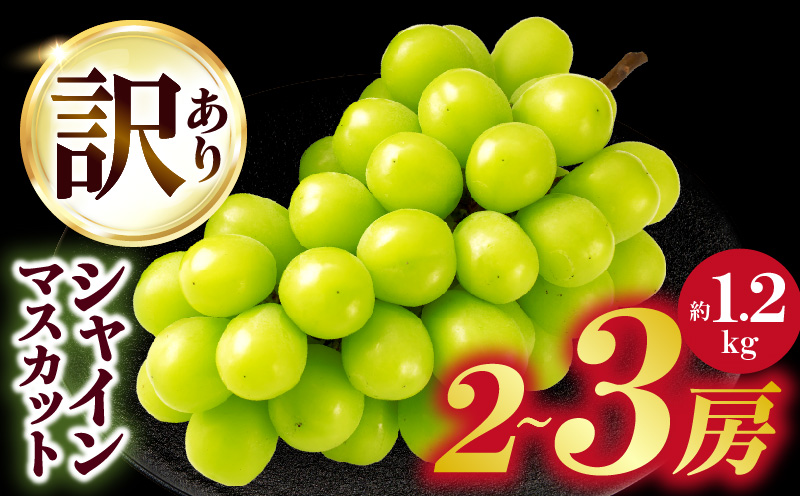 [2026年発送先行受付]訳ありシャインマスカット 約1.2kg 2〜3房 訳あり シャインマスカット マスカット ぶどう ブドウ 葡萄 果物 フルーツ 期間限定 新鮮 くだもの 国産 ギフト お裾分け 旬 人気 種なし 皮ごと食べられる ジューシー 糖度が高い 先行受付 先行予約 季節限定 おすすめ 旬の果物 香川 香川県 三木町 mk006-110
