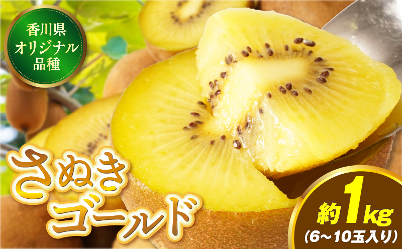 【先行受付】香川県オリジナルキウイフルーツ「さぬきゴールド」約1kg（6−10玉）【香川県共通返礼品】 | 果物 フルーツ 青果 青果物 キウイ さぬきゴールド デザート 果実 贈答 贈り物 ギフト 甘い 追熟 ジューシー 糖度が高い 季節のフルーツ 旬 おすすめ 香川県 三木町 |_mk006-052