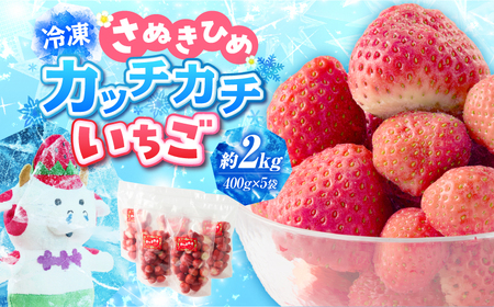 【冷凍いちご】森のいちごのカッチカチいちご【さぬきひめ】　2kg|いちご 苺 ストロベリー さぬき姫 さぬきひめ 香川県オリジナル 希少 甘い 完熟 フルーツ 冷凍 果物 旬 香川県 三木町|_mk035-008