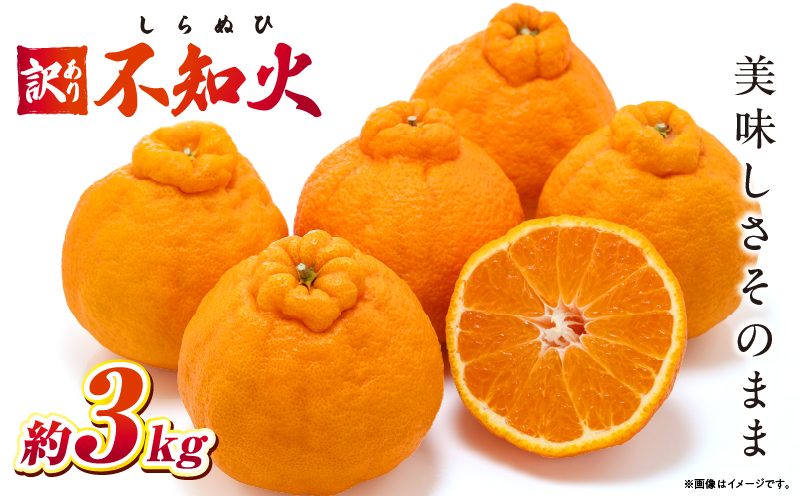 【先行予約】訳あり不知火約3kg【香川県共通返礼品】 | 果物 フルーツ 不知火 しらぬい フレッシュ ジューシー 香り 爽やか 旬の果物 人気 おすすめ 訳あり 生産者応援 青果物 糖度 香川県 三木町 |_ mk006-112