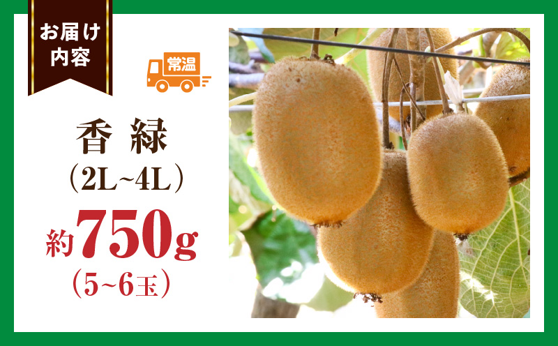 ããŠã€ãçŸããç·ãé®®ãããªãéŠç· çŽ750g | æç© ãã«ãŒã éŠç· ããããã ããŠã€ ã°ãªãŒã³ ãã¬ãã·ã¥ ãžã¥ãŒã·ãŒ éŠã çœãã æ¬ã®æç© äººæ° ãããã èŽç èŽãç© éæç© ç³åºŠ éŠå·ç äžæšçº |_mk165-018