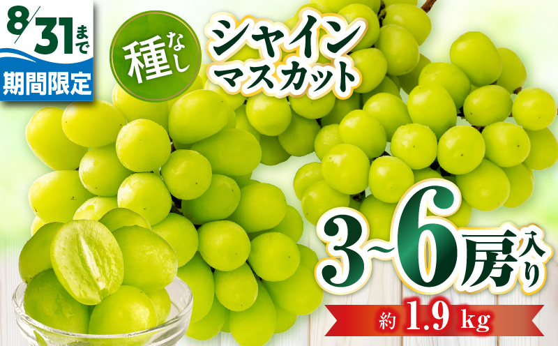【8月31日（夏休み）までの期間限定価格!!】シャインマスカット　約1.9kg | シャインマスカット マスカット ぶどう ブドウ 葡萄 果物 フルーツ 期間限定 新鮮 くだもの 国産 ギフト お裾分け 旬 人気 種なし 皮ごと食べられる ジューシー 糖度が高い 先行受付 先行予約 季節限定 おすすめ 旬の果物 香川 香川県 三木町 |_ mk006-127