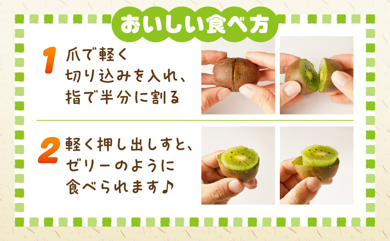 【先行受付】香川県オリジナルキウイフルーツ「さぬきキウイっこ」約2kg【香川県共通返礼品】 | キウイ キウイフルーツ 果物 フルーツ 青果 青果物 さぬきキウイっこ 果実 贈答 贈り物 ギフト 甘い 糖度が高い 季節のフルーツ 旬 おすすめ 香川県 三木町 |_mk006-042