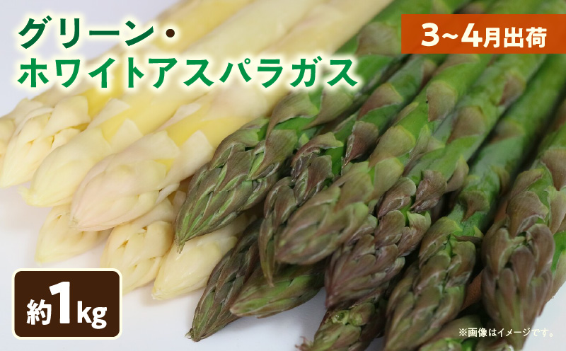 【先行予約】グリーン・ホワイトアスパラガス約1kg（3～4月出荷）|アスパラ アスパラガス ホワイトアスパラガス 新鮮 春野菜 直送 グリーンアスパラガス|_mk002-002