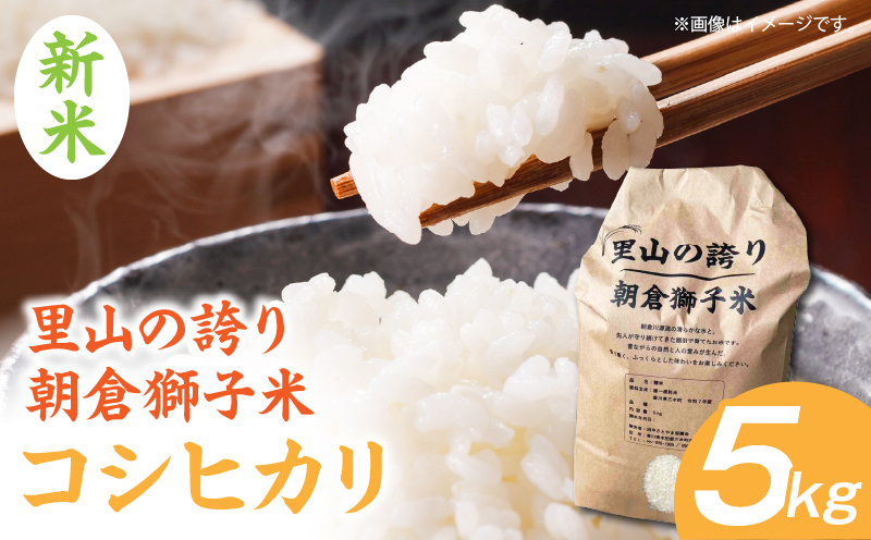 ＜数量限定＞【令和7年度産】里山の誇り 朝倉獅子米 コシヒカリ 5kg | 新米 コシヒカリ こしひかり 5kg 米 白米 ごはん ご飯 白ご飯 おにぎり お弁当 おむすび お米 国産 美味しい ツヤ モチモチ 精米 おすすめ 香川県 三木町 |_mk172-001