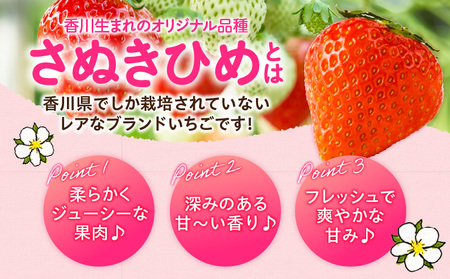 【2026年発送分 先行受付】苺音エコノミー　〜さぬきひめいちごがいっぱい〜　約1,280g | おすすめ 人気 果実 果肉 果物 フルーツ デザート 贈り物 苺 さぬきひめ 贈答 ご褒美 ギフト 旬の果物 季節の果物 旬 季節 青果物 香川県 三木町 |_mk137-001