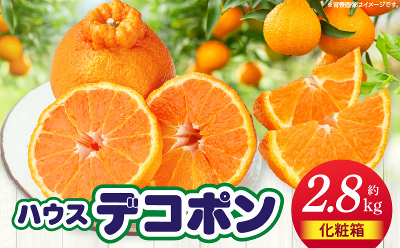 【先行予約】ハウスデコポン約2.8kg | デコポン 甘い 酸味 柑橘 柑橘系 果物 フルーツ 青果 デザート グルメ おすすめ 贈答 贈り物 贈答用 ギフト プレゼント 特産品 特産 取り寄せ 香川県 三木町 |_mk006-026