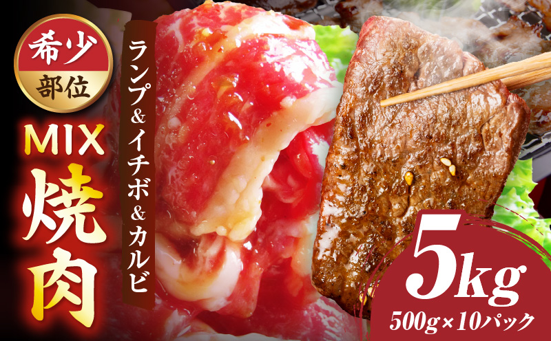 ランプ&イチボ&カルビ　希少部位　MIX焼肉　5kg(500g×10)秘伝のタレ漬け| 肉 牛肉 タレ 漬け 秘伝 味付き ソース ランプ カルビ イチボ 冷凍 BBQ バーベキュー 香川県 三木町 国産 カット 希少 国産牛 ジューシー おすすめ |_mk146-207