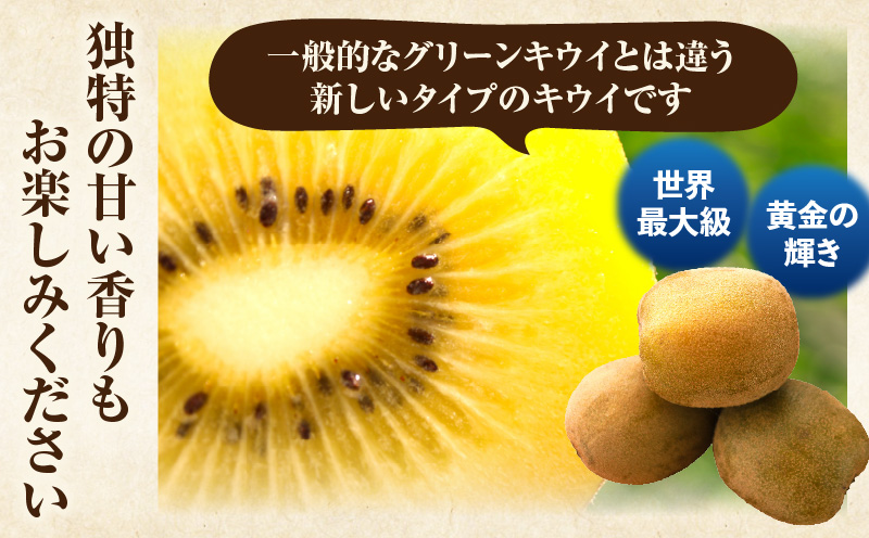 ããŠã€ãé®®ããé»éã«èŒãããŽãŒã«ãããŠã€ çŽ900g | æç© ãã«ãŒã ãã¬ããŽãŒã«ã ããŠã€ ããŠã€ãã«ãŒã ãã¬ãã·ã¥ ãžã¥ãŒã·ãŒ éŠã çœãã æ¬ã®æç© äººæ° ãããã èŽç èŽãç© éæç© ç³åºŠ éŠå·ç äžæšçº |_mk165-016