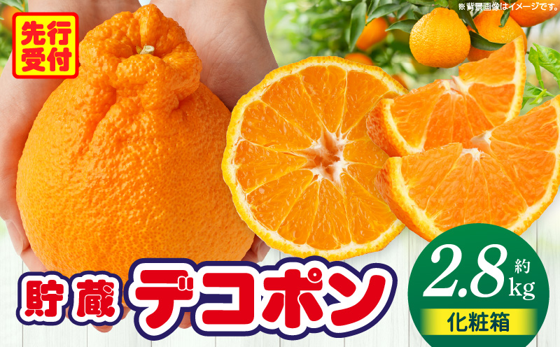 貯蔵デコポン約2.8kg化粧箱(7～12玉)【香川県共通返礼品】 | デコポン 甘い 酸味 柑橘 柑橘系 果物 フルーツ 青果 デザート グルメ おすすめ 贈答 贈り物 贈答用 ギフト プレゼント 特産品 特産 取り寄せ 香川県 三木町 |_mk006-051