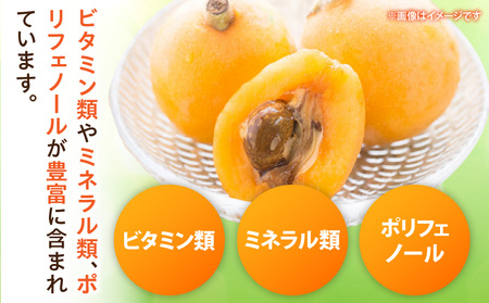 露地なつたよりびわ　500g【香川県共通返礼品】|びわ フルーツ 果物 デザート 贈り物 贈答 旬 旬の果物 ギフト 果実 グルメ お取り寄せ 季節 季節の果物 甘み 甘い果物 初夏 香川県 三木町 送料無料|_mk025-002