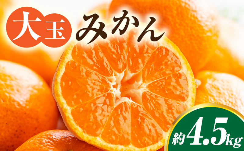 【先行受付】大玉みかん 約4.5kg | 大玉みかん 大玉 みかん ミカン 蜜柑 オレンジ 柑橘 柑橘系 果物 フルーツ 青果 おすすめ お取り寄せ ギフト 香川県 三木町 |_mk006-055