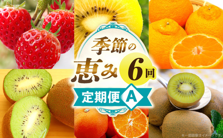 季節の恵み6回定期便A|果物 フルーツ 青果 青果物 デザート スイーツ 旬 季節 旬の果物 季節の果物 生鮮食品 生鮮 贈答 贈り物 ギフト プレゼント おすそ分け お祝い 内祝い ご褒美 人気 グルメ お取り寄せ 特産品 特産 国産 香川県 三木町 送料無料|_mk165-t034