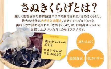 乾燥さぬきくらげ３種セット|きくらげ キクラゲ 木耳 乾燥 さぬきくらげ 高たんぱく 高栄養素 低カロリー きのこ キノコ 鉄分 カルシウム|_mk123-001