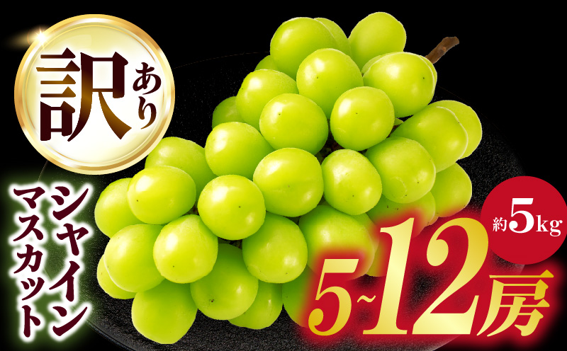 【2026年発送先行受付】訳ありシャインマスカット 約5kg　5〜12房 訳あり シャインマスカット マスカット ぶどう ブドウ 葡萄 果物 フルーツ 期間限定 新鮮 くだもの 国産 ギフト お裾分け 旬 人気 種なし 皮ごと食べられる ジューシー 糖度が高い 先行受付 先行予約 季節限定 おすすめ 旬の果物 香川 香川県 三木町 mk006-102