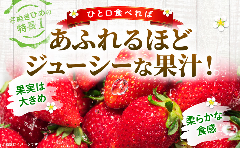 【先行受付】【年内発送】三木町地域いちご部会「さぬきひめ」約500gDXパック  スイーツ いちご ストロベリー イチゴ さぬき姫 さぬきひめ 苺 甘い 大粒 冷蔵 フルーツ 旬 果物 香川県 デザート 青果物 贈答 プレゼント 贈り物 おすすめ mk006-085