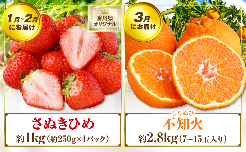 さぬき旬のフルーツ満足 5回定期便 | 果物 フルーツ 青果 青果物 いちご みかん シャインマスカット びわ さぬきひめ 小原紅早生みかん マスカット なつたより 不知火 旬の果物 季節の果物 贈答 贈り物 ギフト 化粧箱 取り寄せ 香川県 三木町 送料無料 |_mk006-t016
