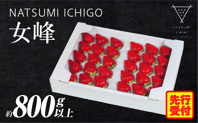 NATSUMI ICHIGO 女峰 約800g以上 プレミアムBOX【2026年1〜6月配送】 | スイーツ いちご ストロベリー 女峰 苺 冷蔵 フルーツ 旬 果物 香川県 酸味 甘味 デザート 色 鮮やか 青果物 贈答 プレゼント 贈り物 旬 おすすめ |_mk060-004