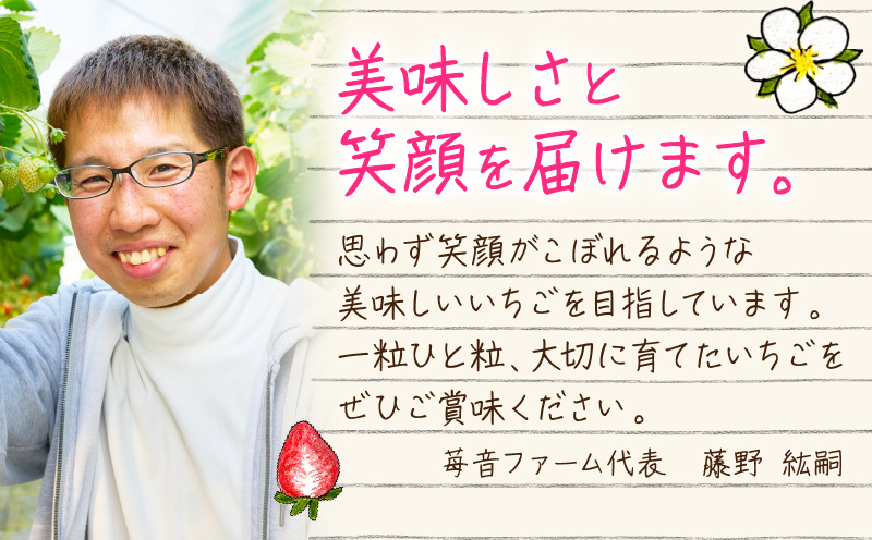 【2026年発送分 先行受付】苺音エコノミー　〜さぬきひめいちご約1,280g〜3回定期便 | おすすめ 人気 果実 果肉 果物 フルーツ デザート 贈り物 苺 さぬきひめ 贈答 ご褒美 ギフト 旬の果物 季節の果物 旬 季節 青果物 香川県 三木町 |_mk137-t001