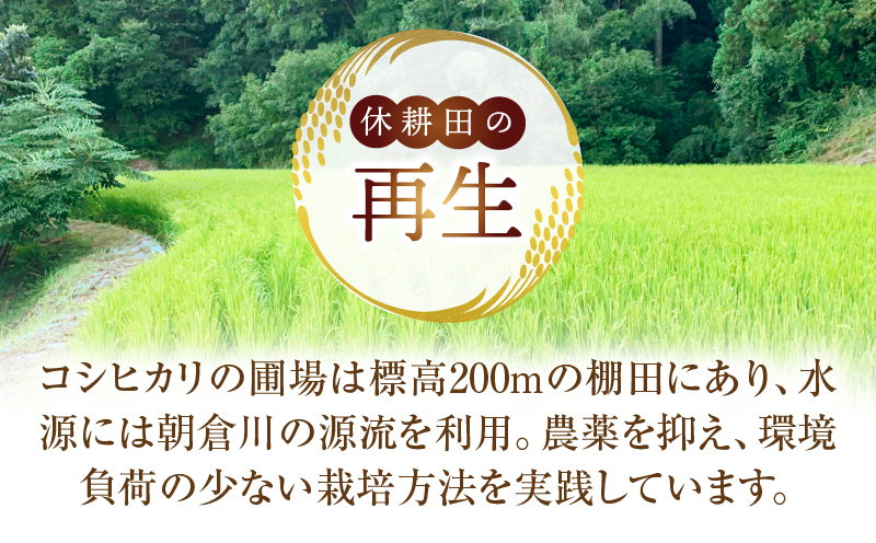 ïŒæ°ééå®ïŒã什å7幎床ç£ãéå±±ã®èªã æåç
åç±³ ãããã«ãª 5kg | æ°ç±³ ãããã«ãª ã²ã®ã²ãã 5kg ç±³ çœç±³ ãã¯ã ã飯 çœã飯 ãã«ãã ãåŒåœ ãããã³ ãç±³ åœç£ çŸå³ãã ã〠ã¢ãã¢ã 粟米 ãããã éŠå·ç äžæšçº |_mk172-002