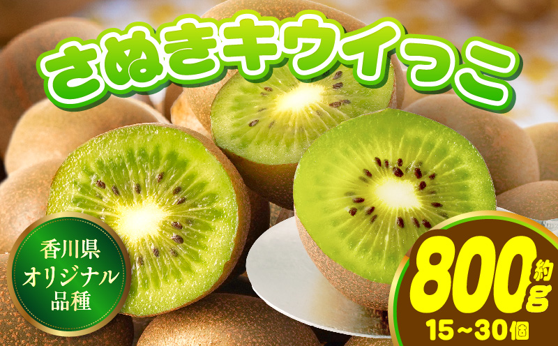 小さくて可愛らしいキウイ　さぬきキウイっこ約800g | キウイ キウイフルーツ 果物 フルーツ 青果 青果物 さぬきキウイっこ 果実 贈答 贈り物 ギフト 甘い 糖度が高い 季節のフルーツ 旬 おすすめ 香川県 三木町 |_mk006-096