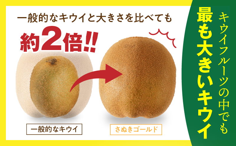 訳ありご家庭用さぬきゴールドキウイ約1kg【香川県共通返礼品】 | 果物 フルーツ さぬきゴールド キウイ キウイフルーツ フレッシュ ジューシー 香り 爽やか 旬の果物 人気 おすすめ 贈答 贈り物 青果物 糖度 香川県 三木町 |_mk006-095