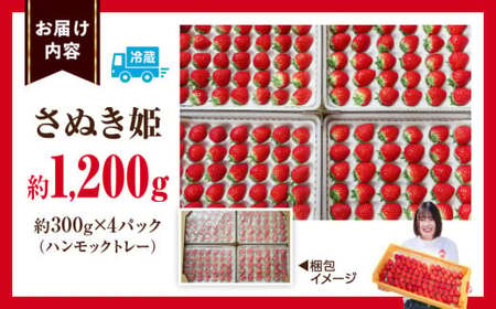 ”あえて”小粒いちご　極甘さぬき姫1,200g×1箱 | いちご 小粒 高級 さぬき姫 果物 フルーツ おすすめ 旬 イチゴ 季節 旬の果物 ギフト パック 果実 贈り物 化粧箱 贈答用 デザート 人気 果肉 生鮮食品 国産 冷蔵 香川県 三木町 |_mk165-004