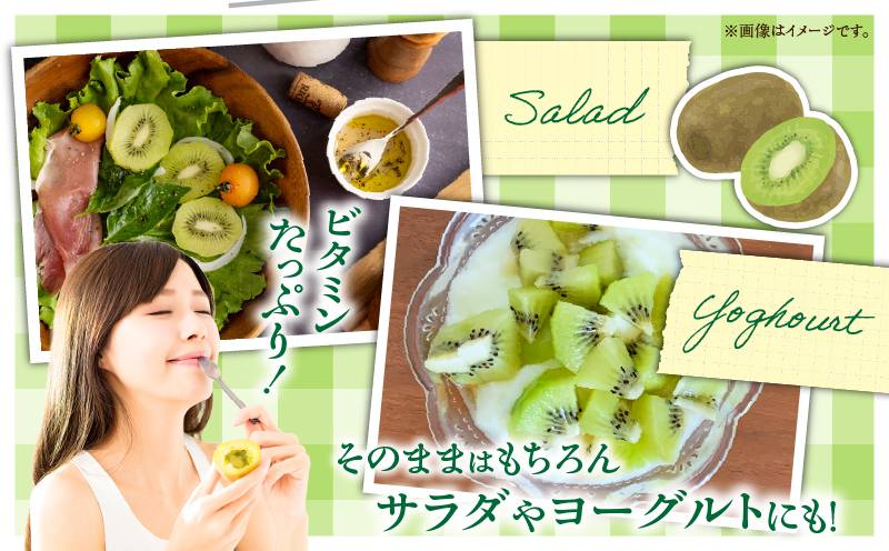 【先行受付】香川県オリジナルキウイフルーツ「香緑」約1.3kg 化粧箱【香川県共通返礼品】  キウイ フルーツ 果物 香川県 香緑 デザート サラダ ヨーグルト トッピング 国産 季節限定 青果物 旬 おすすめ mk006-068