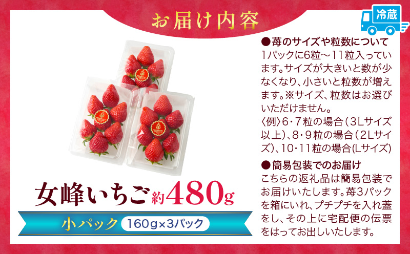 ãèºãã¡ãŒã 森æ¬ã女峰ãã¡ã å°ããã¯160gÃ3ãã㯠âªIDOMALL ã»ã¬ã¯ãâ«|ã¹ã€ãŒã ãã¡ã ã¹ããããªãŒ 女峰 èº ãžã£ã ãã¡ããžã£ã ãã«ãŒã æ¬ æç© éŠå·ç ãã¶ãŒã éæç© èŽç ãã¬ãŒã³ã èŽãç© ãããã|_mk048-011