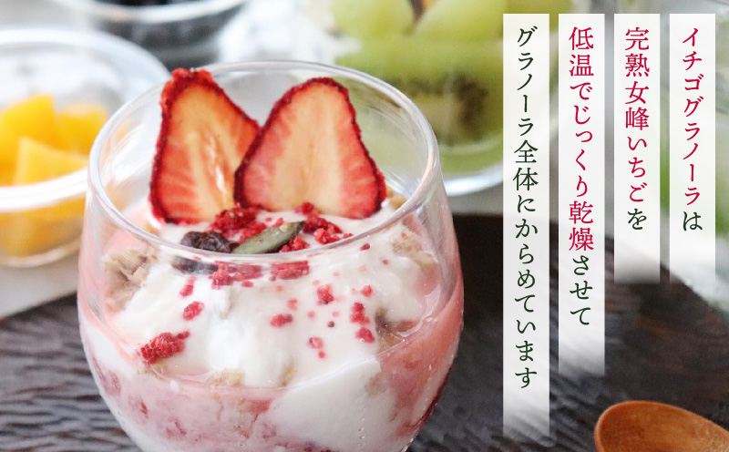 女峰ãã¡ããèŽ
æ²¢ã«äœ¿ã£ãã°ã©ããŒã©ïŒãžã£ã âªIDOMALL ã»ã¬ã¯ãâ«|ã¹ã€ãŒã ãã¡ã ã¹ããããªãŒ 女峰 èº ãžã£ã ãã¡ããžã£ã ãã«ãŒã æ¬ æç© éŠå·ç ãã¶ãŒã éæç© èŽç ãã¬ãŒã³ã èŽãç© ãããã|_mk048-009