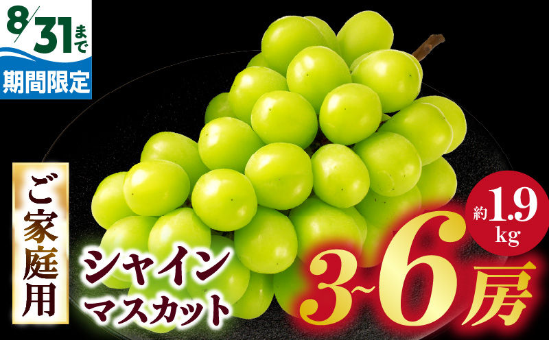 【8月31日（夏休み）までの期間限定価格!!】ご家庭用　シャインマスカット　約1.9kg | シャインマスカット マスカット ぶどう ブドウ 葡萄 果物 フルーツ 期間限定 新鮮 くだもの 国産 ギフト お裾分け 旬 人気 種なし 皮ごと食べられる ジューシー 糖度が高い 先行受付 先行予約 季節限定 おすすめ 旬の果物 香川 香川県 三木町 訳あり ご家庭用 |_mk006-129