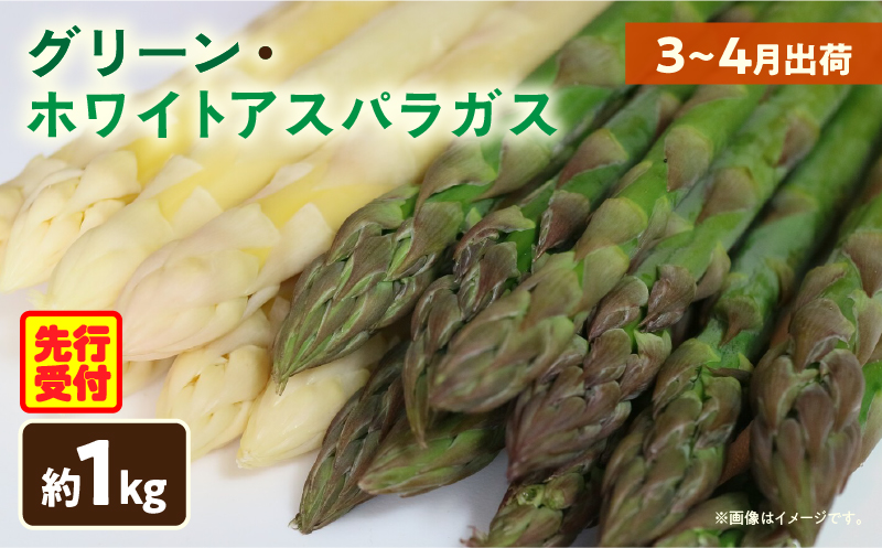 【先行予約】グリーン・ホワイトアスパラガス約1kg（3〜4月出荷）|アスパラ アスパラガス ホワイトアスパラガス 新鮮 春野菜 直送 グリーンアスパラガス|_mk002-002