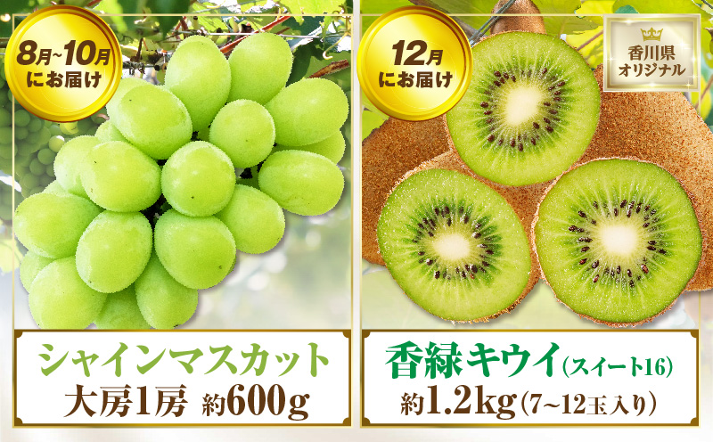 さぬき旬のフルーツ大満足　4回定期便|果物 フルーツ 青果 青果物 いちご みかん シャインマスカット キウイフルーツ さぬきひめ 小原紅早生みかん マスカット キウイ 旬の果物 季節の果物 贈答 贈り物 ギフト 化粧箱 取り寄せ グルメ 香川県 三木町 送料無料|_mk006-t008d