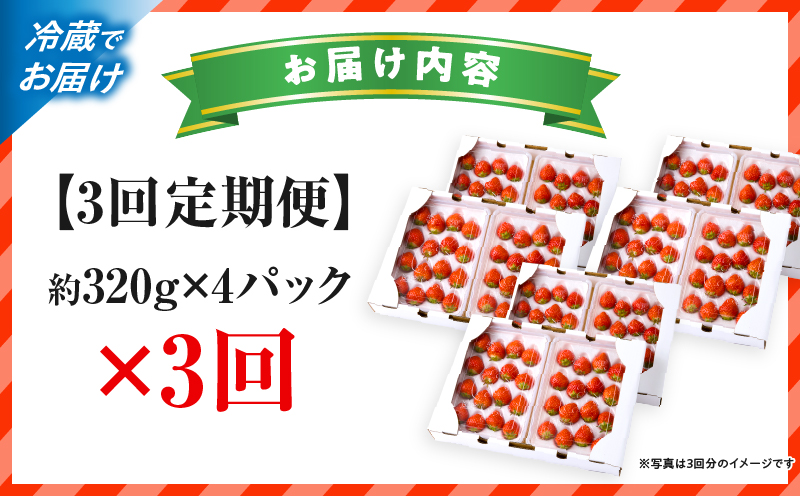 【先行予約】苺音エコノミー　〜さぬきひめいちご約1,280g〜3回定期便 | おすすめ 人気 果実 果肉 果物 フルーツ デザート 贈り物 苺 さぬきひめ 贈答 ご褒美 ギフト 旬の果物 季節の果物 旬 季節 青果物 香川県 三木町 |_mk137-t001