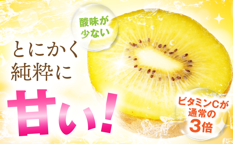 訳ありご家庭用さぬきゴールドキウイ約1kg【香川県共通返礼品】 | 果物 フルーツ さぬきゴールド キウイ キウイフルーツ フレッシュ ジューシー 香り 爽やか 旬の果物 人気 おすすめ 贈答 贈り物 青果物 糖度 香川県 三木町 |_mk006-095
