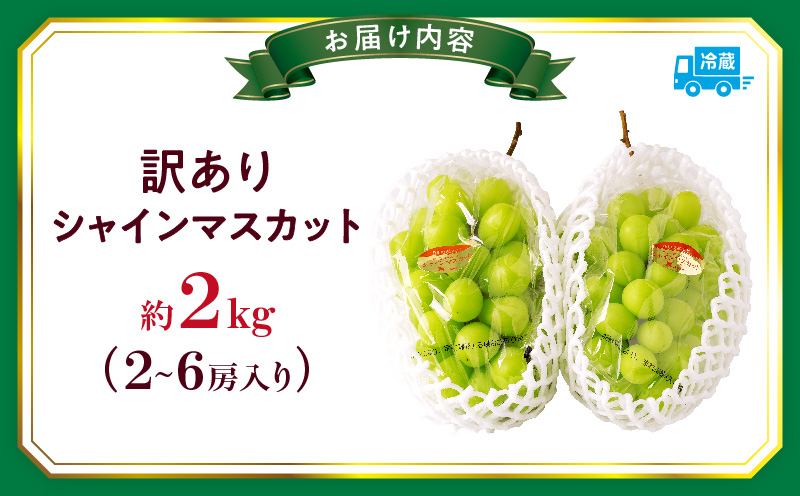 ã2026幎çºéå
è¡åä»ãèš³ããã·ã£ã€ã³ãã¹ã«ãã çŽ2kgã2ã6æ¿ èš³ãã ã·ã£ã€ã³ãã¹ã«ãã ãã¹ã«ãã ã¶ã©ã ãã㊠è¡è æç© ãã«ãŒã æééå® æ°é®® ãã ãã® åœç£ ã®ãã ã裟åã æ¬ äººæ° çš®ãªã ç®ããšé£ã¹ããã ãžã¥ãŒã·ãŒ ç³åºŠãé«ã å
è¡åä» å
è¡äºçŽ å£ç¯éå® ãããã æ¬ã®æç© éŠå· éŠå·ç äžæšçº mk006-101