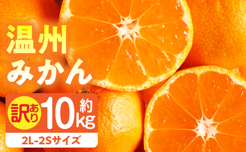【先行受付】訳あり温州みかん約10kg（2L-2S) | みかん 温州みかん 果物 果実 訳あり 訳ありみかん 訳あり果物 訳ありフルーツ フルーツ 香川県 三木町 |_mk006-032