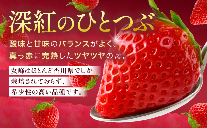 【苺ファーム森本】完熟女峰の冷凍いちご 450g×2袋 ≪IDOMALL セレクト≫|スイーツ いちご ストロベリー 女峰 苺 ジャム いちごジャム 冷凍 フルーツ 旬 果物 香川県 デザート 青果物 贈答 プレゼント 贈り物 おすすめ|_mk048-010