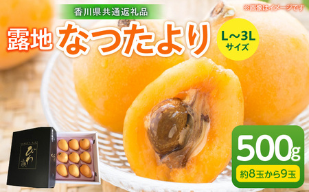 露地なつたよりびわ　500g【香川県共通返礼品】|びわ フルーツ 果物 デザート 贈り物 贈答 旬 旬の果物 ギフト 果実 グルメ お取り寄せ 季節 季節の果物 甘み 甘い果物 初夏 香川県 三木町 送料無料|_mk025-002