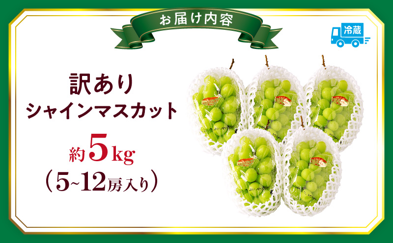 ã2026幎çºéå
è¡åä»ãèš³ããã·ã£ã€ã³ãã¹ã«ãã çŽ5kgã5ã12æ¿ èš³ãã ã·ã£ã€ã³ãã¹ã«ãã ãã¹ã«ãã ã¶ã©ã ãã㊠è¡è æç© ãã«ãŒã æééå® æ°é®® ãã ãã® åœç£ ã®ãã ã裟åã æ¬ äººæ° çš®ãªã ç®ããšé£ã¹ããã ãžã¥ãŒã·ãŒ ç³åºŠãé«ã å
è¡åä» å
è¡äºçŽ å£ç¯éå® ãããã æ¬ã®æç© éŠå· éŠå·ç äžæšçº mk006-102