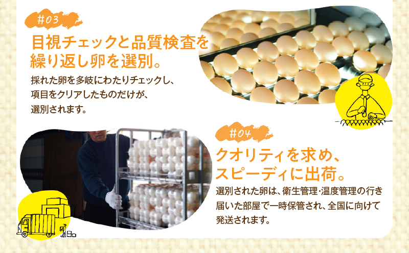 danranバラエティたまごセット　M4|卵 新鮮卵 オリーブEgg さくらたまご 平飼いたまご 白たまご 醤油 たまごかけ醤油 食べ比べ セット|_mk095-001