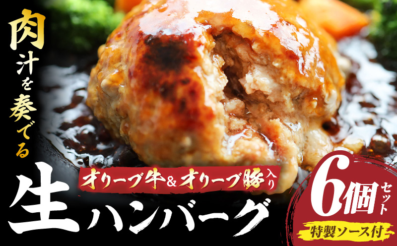 オリーブ牛&オリーブ豚入り生ハンバーグ　特製ソース付　150g×6個セット|オリーブ牛 ハンバーグ オリーブ豚 国産牛 肉汁の滝 特製ソース ステーキソース ジューシー 濃厚 冷凍 香川県 おすすめ|_mk146-163