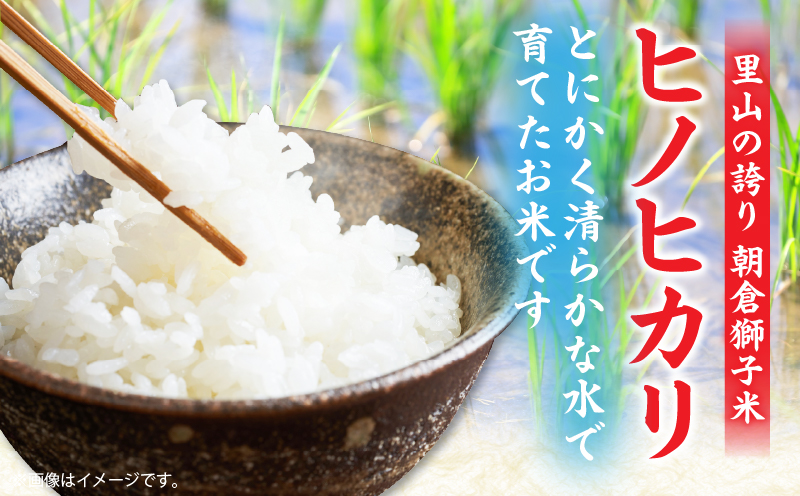 ïŒæ°ééå®ïŒã什å7幎床ç£ãéå±±ã®èªã æåç
åç±³ ãããã«ãª 5kg | æ°ç±³ ãããã«ãª ã²ã®ã²ãã 5kg ç±³ çœç±³ ãã¯ã ã飯 çœã飯 ãã«ãã ãåŒåœ ãããã³ ãç±³ åœç£ çŸå³ãã ã〠ã¢ãã¢ã 粟米 ãããã éŠå·ç äžæšçº |_mk172-002