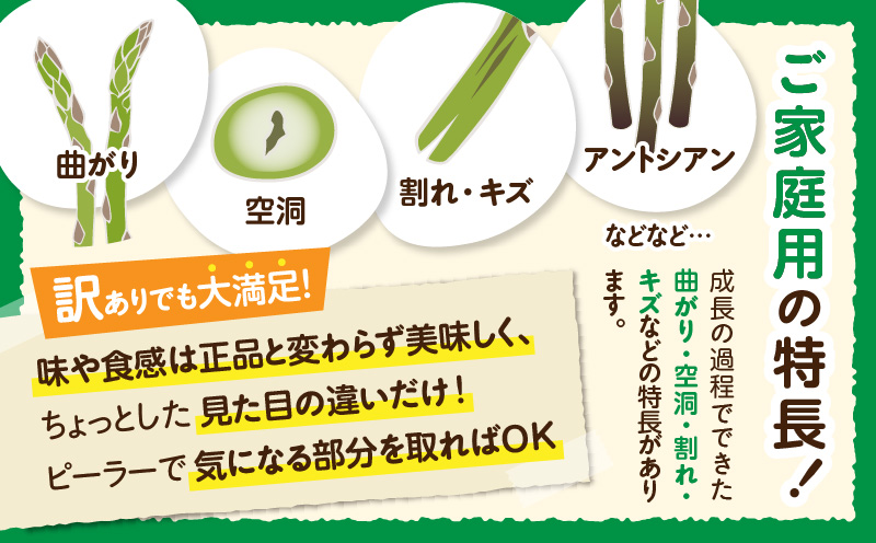 ご家庭用アスパラガス「さぬきのめざめ」（セミロング）春芽　サイズ混合約700g | 野菜 アスパラ アスパラガス さぬきのめざめ 家庭用 春 冷蔵 新鮮 香川県 三木町 セミロング おすすめ |_mk006-027