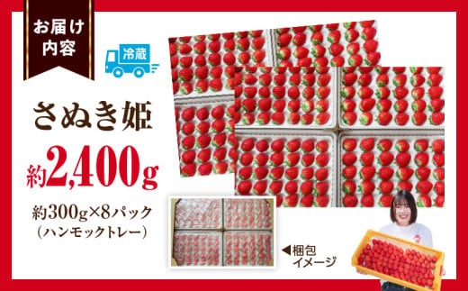 ”あえて”小粒いちご　極甘さぬき姫1,200g×2箱 | いちご 小粒 高級 さぬき姫 果物 フルーツ おすすめ 旬 イチゴ グルメ 季節 旬の果物 ギフト スイーツ パック 果実 贈り物 化粧箱 贈答用 デザート 人気 果肉 生鮮食品 国産 冷蔵 香川県 三木町 |_mk165-005