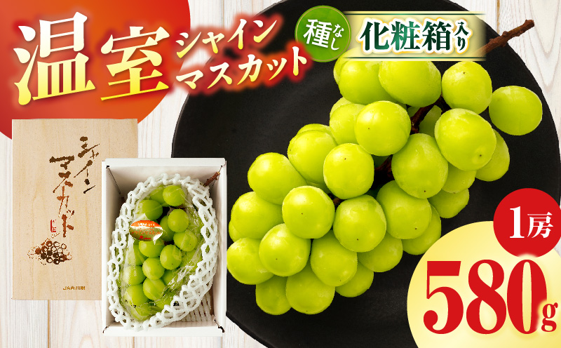 【先行受付】温室シャインマスカット　1房化粧箱入り(580g以上) | マスカット ハウス ぶどう ブドウ 葡萄 果物 フルーツ 人気 香川 香川県 三木町 種なし 皮ごと食べられる ジューシー 化粧箱 旬 おすすめ |_mk006-033