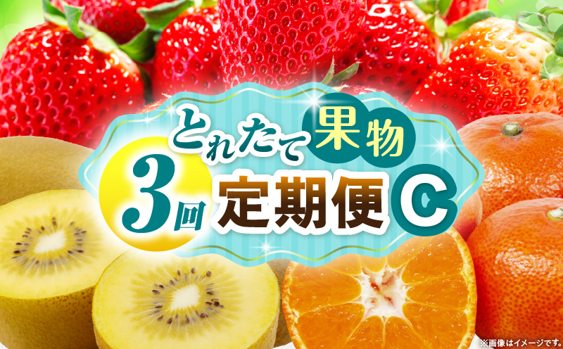 とれたて果物 3回定期便C 果物 フルーツ 果物定期便 フルーツ定期便 定期便 いちご キウイみかん 濃厚 旬の果物 定期 人気 おすすめ 贈答 贈り物 青果物 糖度 香川県 _mk165-t067