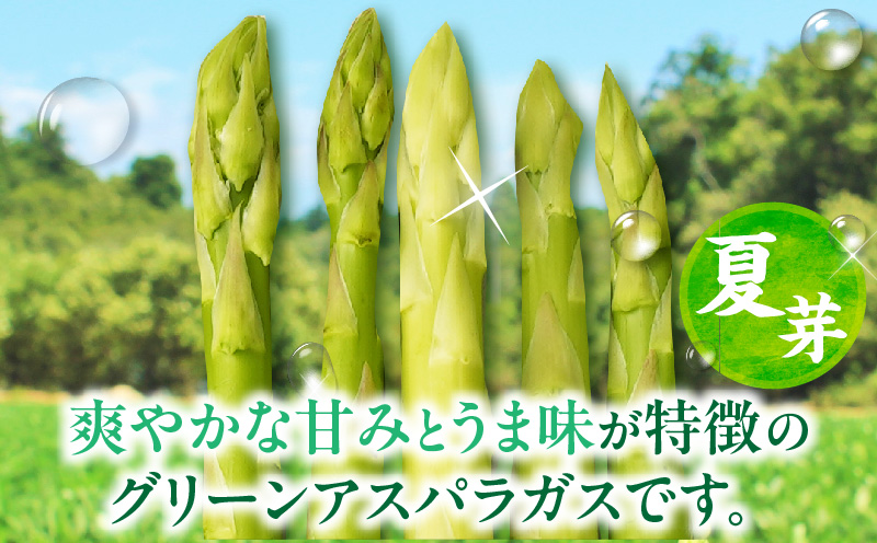 【先行受付】【夏芽】グリーンアスパラガス サイズ混合約2kg（1kg×2箱）  グリーンアスパラガス アスパラガス アスパラ 夏芽 おすすめ 混合 シャキシャキ 野菜 冷蔵 新鮮 新鮮野菜 香川県 国産 三木町 おすすめ mk006-005