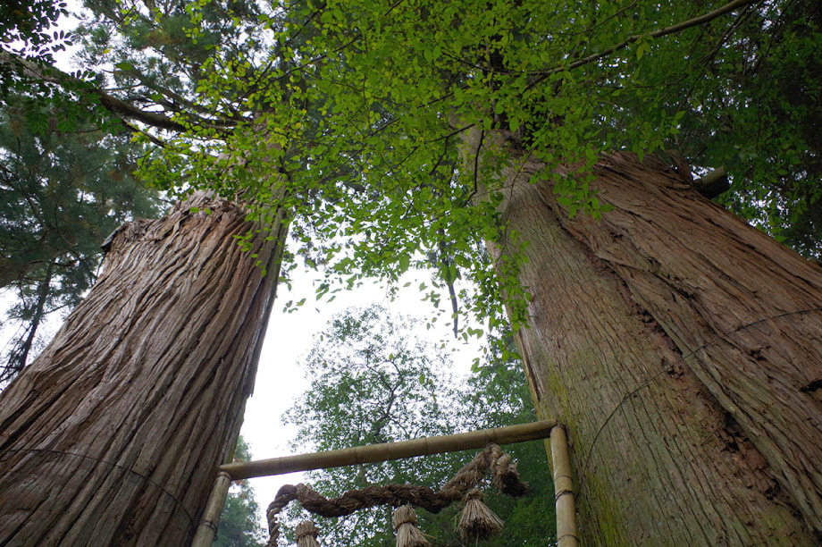 自然環境及び地域景観の保全並びに活用に関する事業